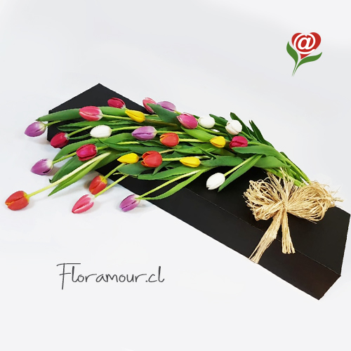 Lujosa caja con 24 tulipanes de diversos colores. Solo Santiago.Tonos pueden variar de acuerdo a la disponibilidad en la importación